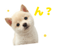 854724393