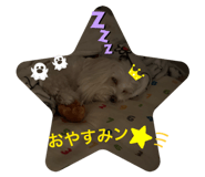 854728088