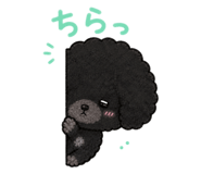 854728821