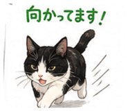 854730690