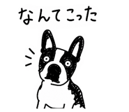854731551