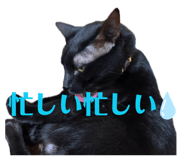 854732344