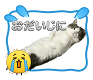 854732742