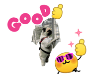 854734096