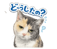854734671