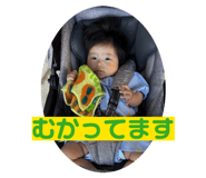 854736080
