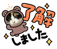 854738677