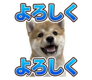 854740257