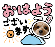 854741766