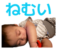 854742446