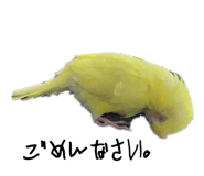 854745377
