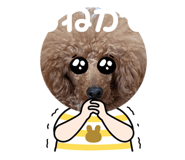 854745904