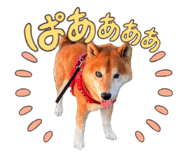 854747765