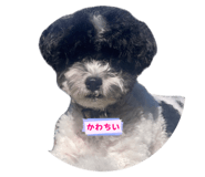 854748423