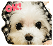 854749000