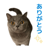 854749245