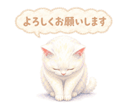 854751425