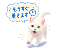 854751436