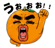 854752416
