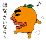854752428