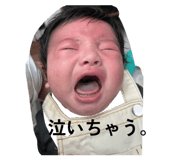 854754666