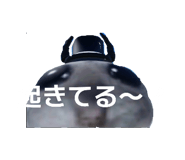 854755285