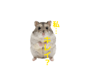 854755286