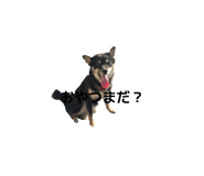 854755288