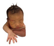 854755886