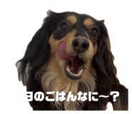 854756845