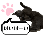 854756963