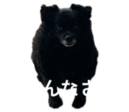 854757840
