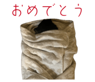 854757846