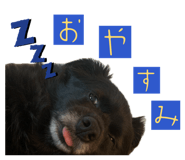 854757848