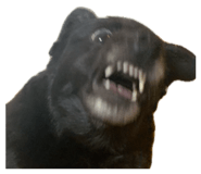 854757855