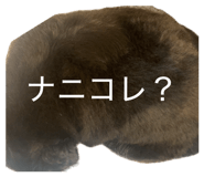 854757868
