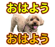 854760921