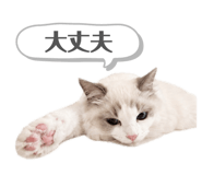 854764856