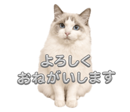 854764859