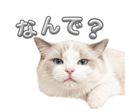 854764865
