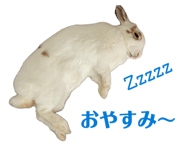 854766535