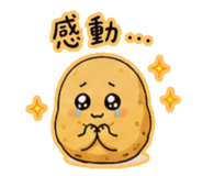 854766950