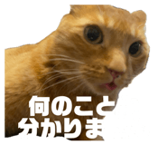 854768372