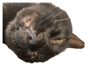 854768376