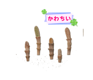 854768717