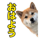 854771337