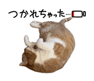 854776615