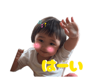 854776626