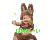 854776637