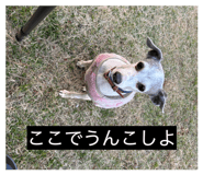 854776655
